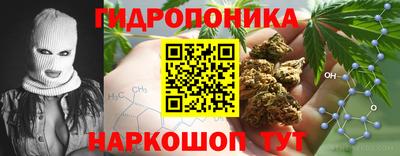 экстази Будённовск