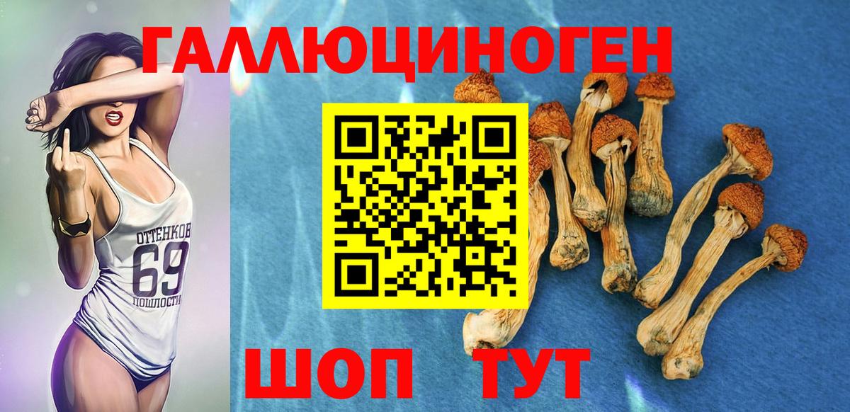 Галлюциногенные грибы мицелий Горно-Алтайск