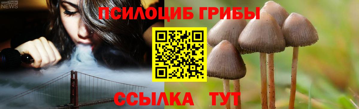 купить   Галлюциногенные грибы мухоморы  Вход с VPN  Горно-Алтайск 